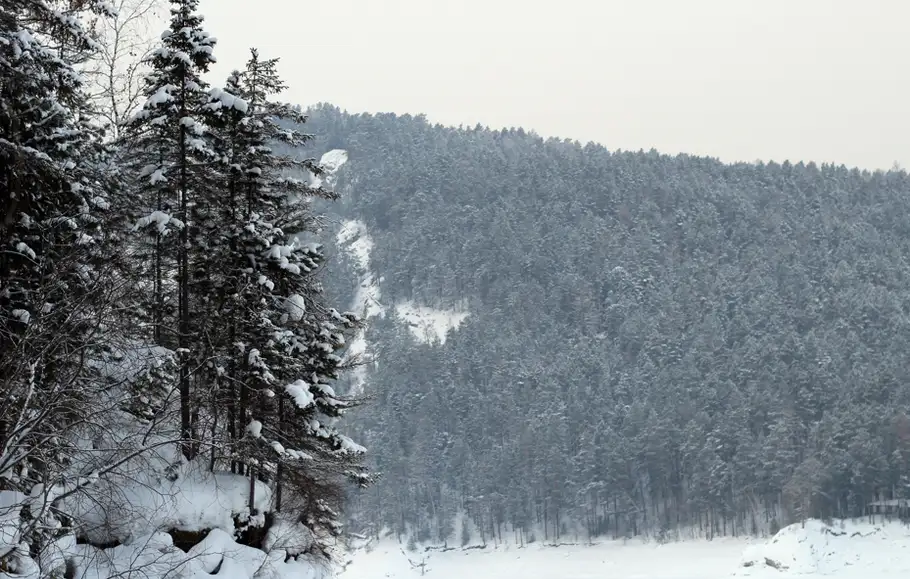 Фото: sibnovosti.ru