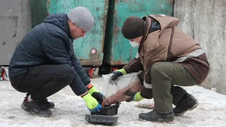 В Красноярске прошла масштабная дератизация: обработаны тысячи объектов