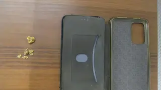 Красноярские таможенники изъяли у пассажира самородки золота