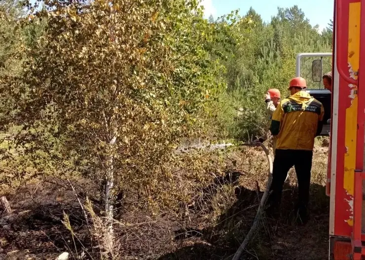 Небрежность курильщика привела к лесному пожару в Богучанском округе Красноярского края
