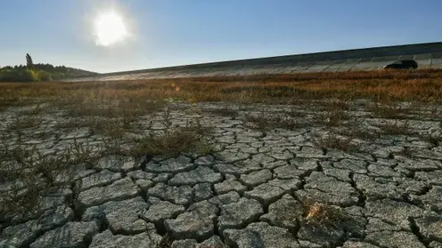 В девяти районах Новосибирской области из-за засухи ввели режим ЧС