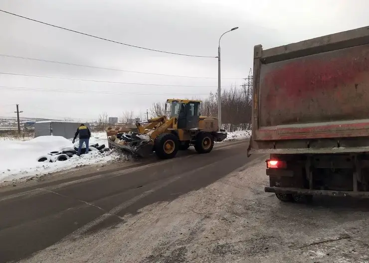 Семь свалок убрали в Центральном районе Красноярска в течение января