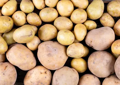 Житель Красноярского края в среднем ежегодно потребляет около 62 кило картофеля