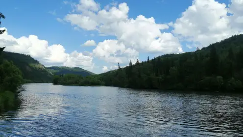 Тонущего 47-летнего мужчину спасли на реке Чулым в Ачинске