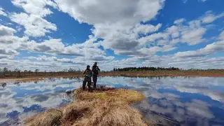 Сибирские озёра признаны мощным источником парниковых выбросов Сибирские озёра признаны мощным источником парниковых выбросов