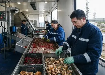 Летом на Таймыре откроют новый мобильный заготовительно-перерабатывающий комплекс