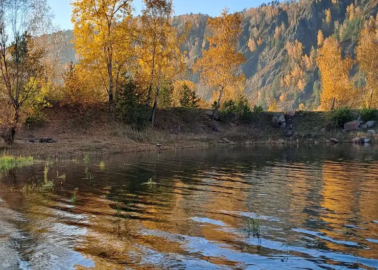 В топ направлений для поездок осенью попали несколько сибирских регионов