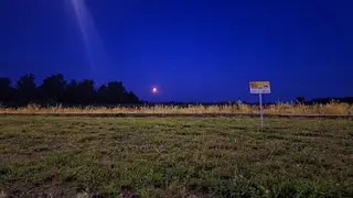 В Красноярском крае у собственника изъяли 15,5 гектаров сельскохозяйственных земель