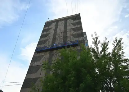 Мурал с лётчиком-космонавтом появится в Красноярске