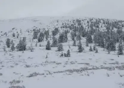 Зима в начале сентября: первый снег пришел в Тыву, Республику Алтай и Новосибирскую область