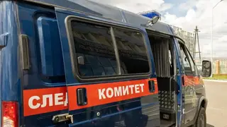 Тела двух пропавших 12-летних девочек найдены на берегу Енисея в разных деревнях Республики Тыва
