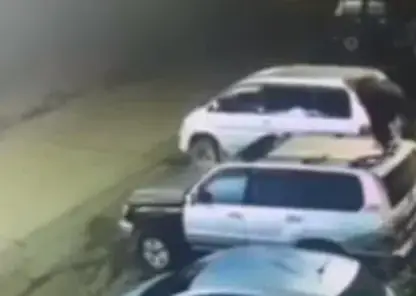 От медведя - на крышу, с крыши - на забор: житель Камчатки спасся от хищника акробатическим трюком