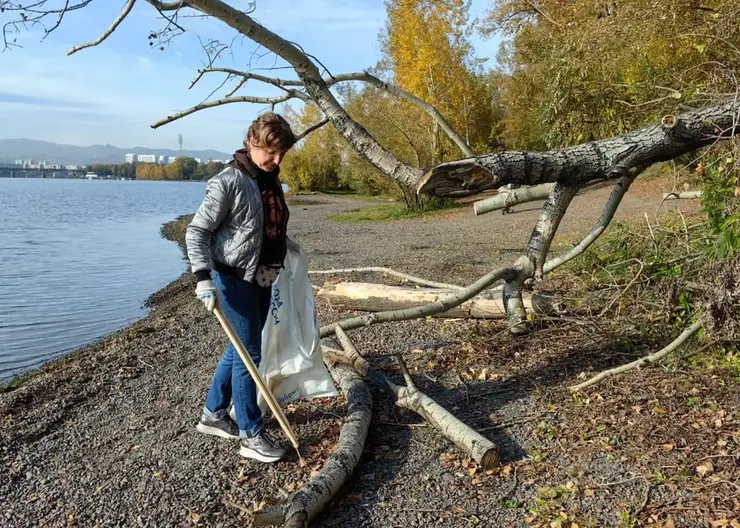 Красноярцев зовут на общегородской субботник 20 сентября