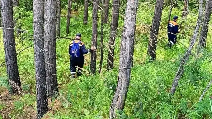 Две женщины заблудились в лесах под Красноярском в субботу