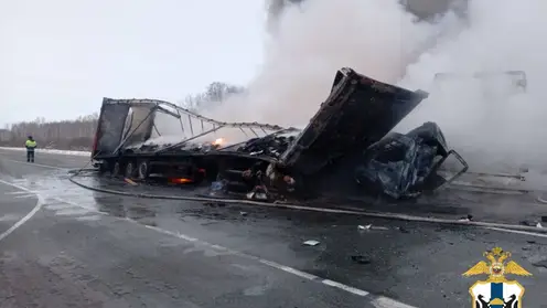 В Новосибирской области погиб один человек в аварии с тремя грузовиками