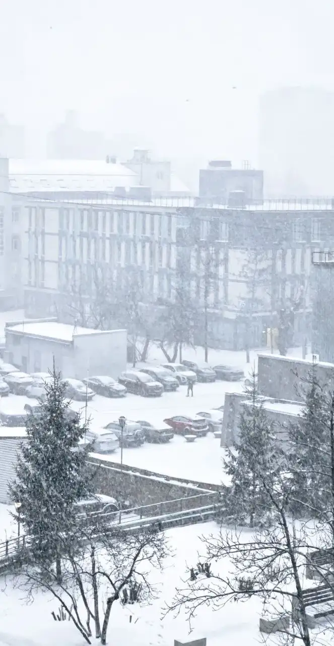 Фото: мэрия Красноярска