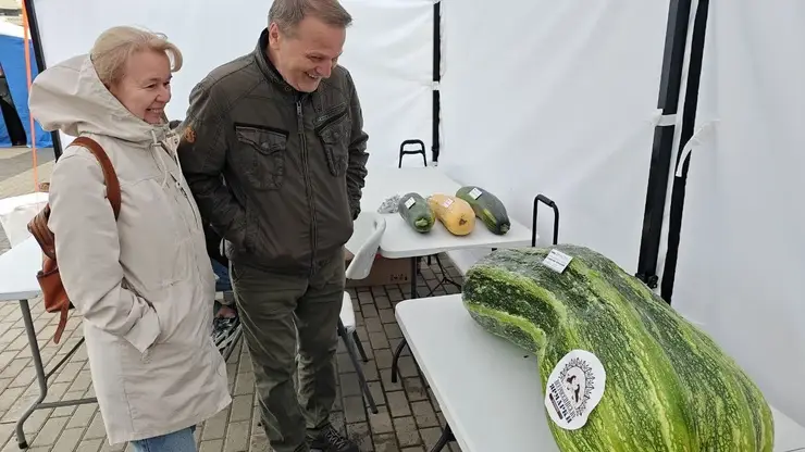 В Красноярске выбрали самый тяжелый кабачок и самую объемную тыкву