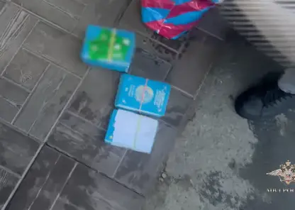 В Хакасии задержаны дропперы с десятком поддельных паспортов