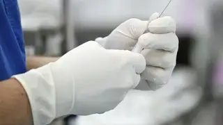 Учёные получили средство против гриппа на основе экстракта полыни