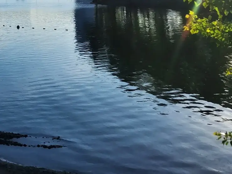 Фото: sibnovosti.ru