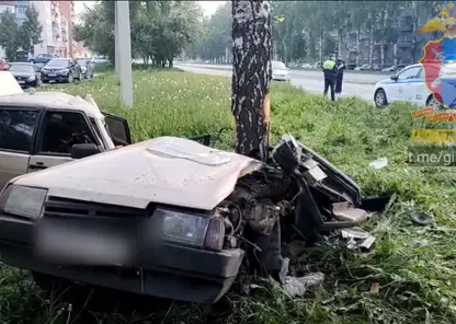 В Кемеровской области водитель без прав и его пассажирка погибли после столкновения с деревом