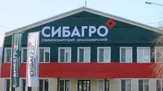 Компания «Сибагро» расширила линейку продукции на экспорт