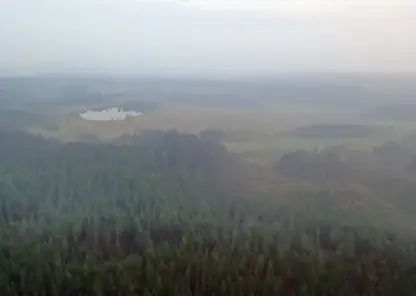 Въезд в леса перекроют в Иркутской области по распоряжению губернатора из-за пожарной опасности