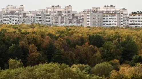 Пропавших в Балахтинско-Новосёловском округе девочек нашли живыми