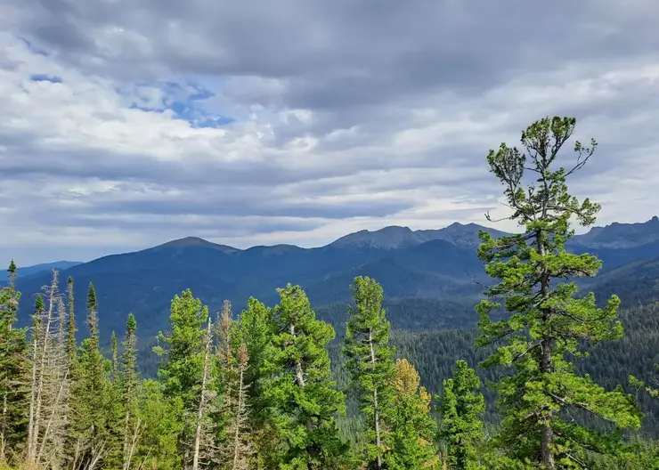 Туристов просят отказаться от походов в «Ергаки» из-за медведей