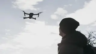 В СНТ «Теремок» ищут агрессивных собак с помощью дронов после того, как стая псов загрызла 10-летнего мальчика