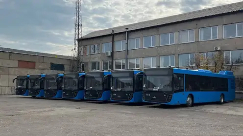 Новые автобусы на газу выходят ещё на два маршрута. Какой состав они заменят полностью?