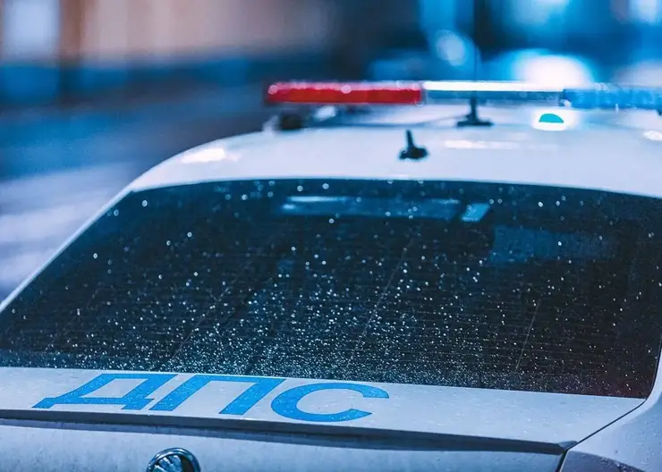 В крае полицейские применили табельное оружие для остановки нетрезвого 17-летнего водителя