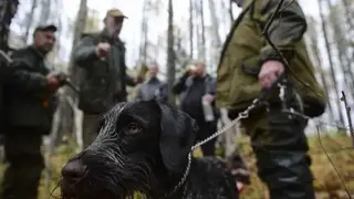 Детские розыгрыши мешают охотникам отрабатывать реальные сигналы об опасности медведей в Туве Детские розыгрыши мешают охотникам отрабатывать реальные сигналы об опасности медведей в Туве