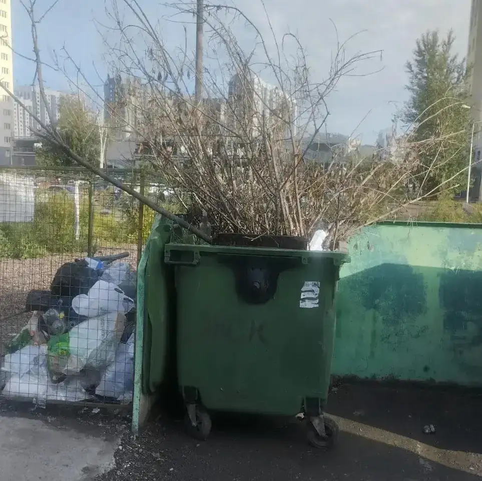 Фото: © ООО «РОСТТех"