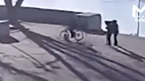 В Иркутске велосипедист намеренно переехал щенка корги, который был на поводке