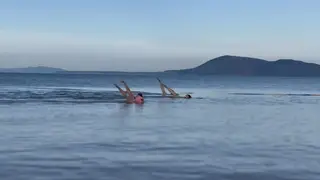 Эстафетный заплыв на открытой воде прошёл на Красноярском водохранилище Эстафетный заплыв на открытой воде прошёл на Красноярском водохранилище