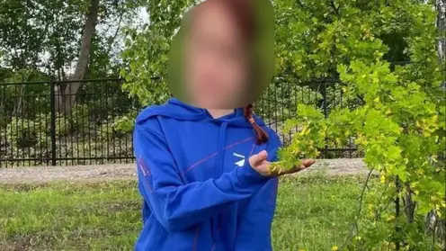 Полиция задержала подозреваемого в убийстве девочки из Кемерово