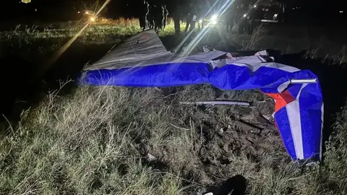 Пилот погиб при падении мотопараплана в Алтайском крае, зацепившись за электропровода