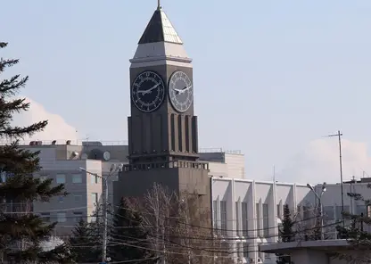 Названы самые медийные мэры сибирских столиц — лидеры из Новосибирска, Омска и Красноярска