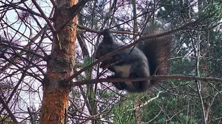 Тёплый финал октября: красноярцев ждёт приятный сюрприз в последний день месяца