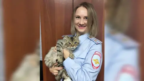 Полицейские в Красноярском крае спасли кота с глубокой раной и ищут ему дом