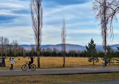 Власти отказались от полного запрета электросамокатов в Татышев-парке