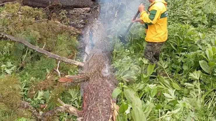 Молния ударила в дерево и спровоцировала пожар в природном парке Ергаки
