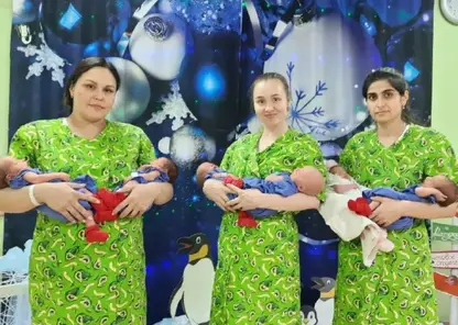В перинатальном центре Забайкальского края за год родилось почти 80 двоен и три тройни