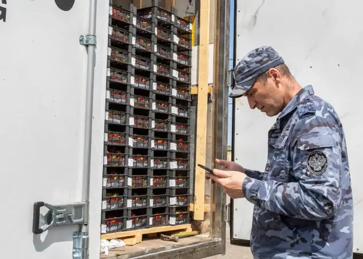 Сибирские таможенники выявили больше семи тысяч товаров с нарушениями с начала 2025 года