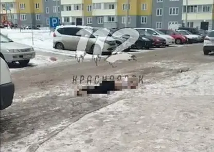 В красноярском Солнечном мужчина выпал из окна на одиннадцатом этаже