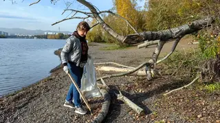 Красноярцев зовут на общегородской субботник 20 сентября