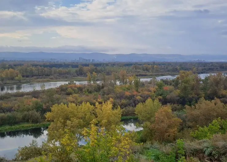 Дождливая и ветреная погода ждет красноярцев 25 сентября