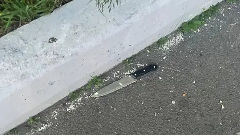 Агрессора с ножом, который атаковал красноярца, отправят на принудительное лечение