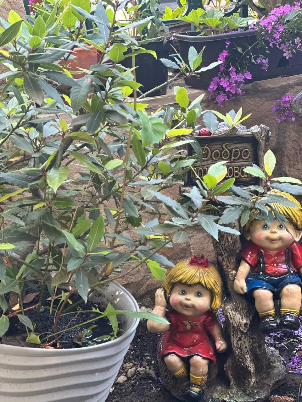 Фото: Мэрия Красноярска / Telegram